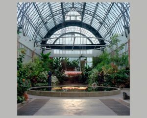 Glasshouse, Auckland Domain Wintergardens, Auckland April 2024_page-0001 (1)